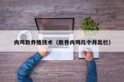 肉鸡散养殖技术（散养肉鸡几个月出栏）