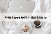 可以静音的电子游戏软件（能静音的游戏）
